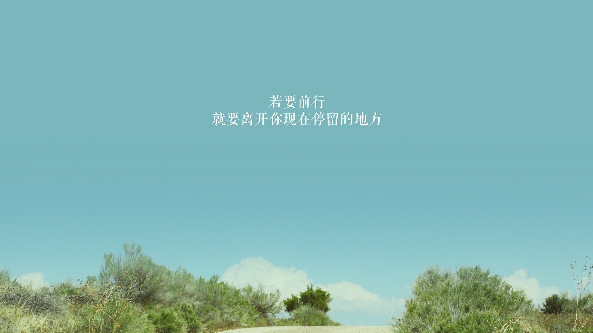 随机明星车手的成长之路：从练习到冠军，明星车辆