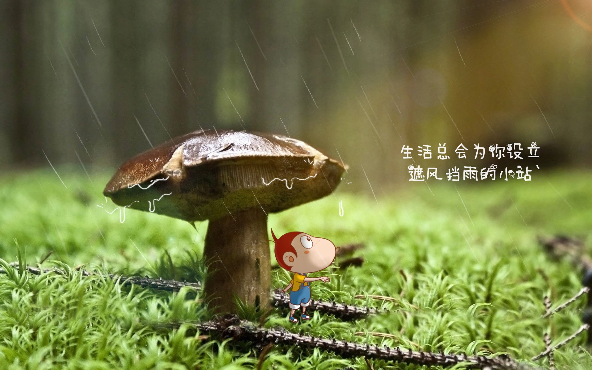 广岛三箭遭遇困境，不过他们从不言败，广岛三箭吧