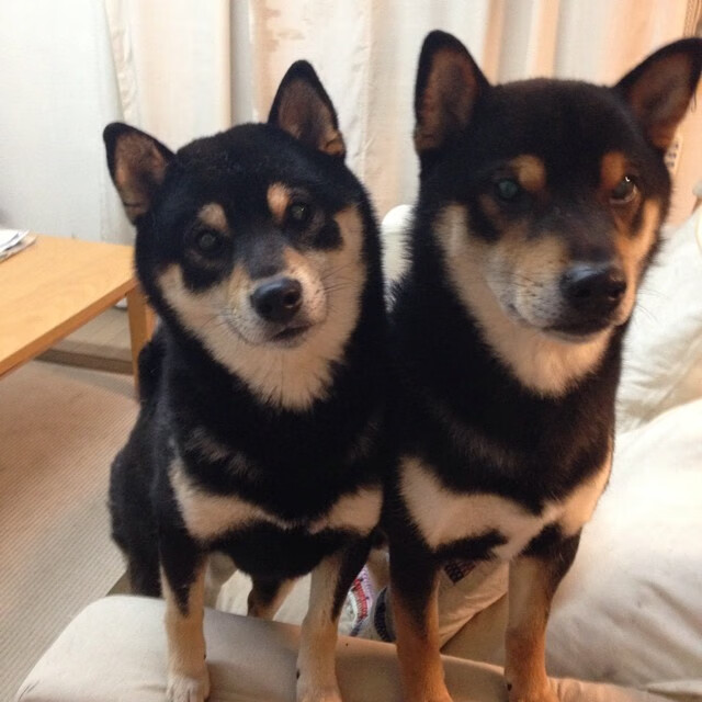 都灵主场战平南特,双方搏得平局,都灵的主场