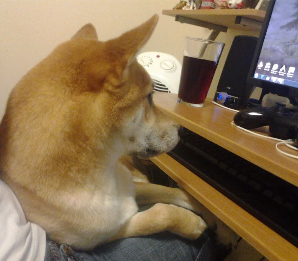 中国男篮小组出线 球员表现稳定,中国男篮小组赛排名