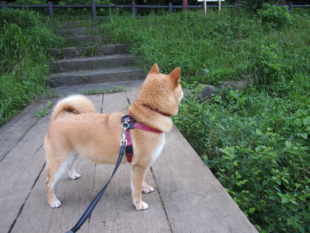 教练团队国际交流日益频繁,教练员沟通的理论和原则
