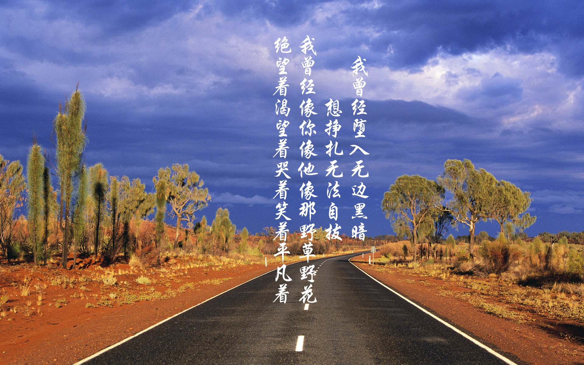 浙江雄狮强化防守阵型减少对手突破空间,宁波雄狮