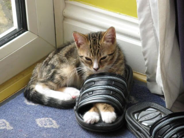 职业联赛缺少长期商业规划支持,中国职业联赛存在的问题及其解决方法