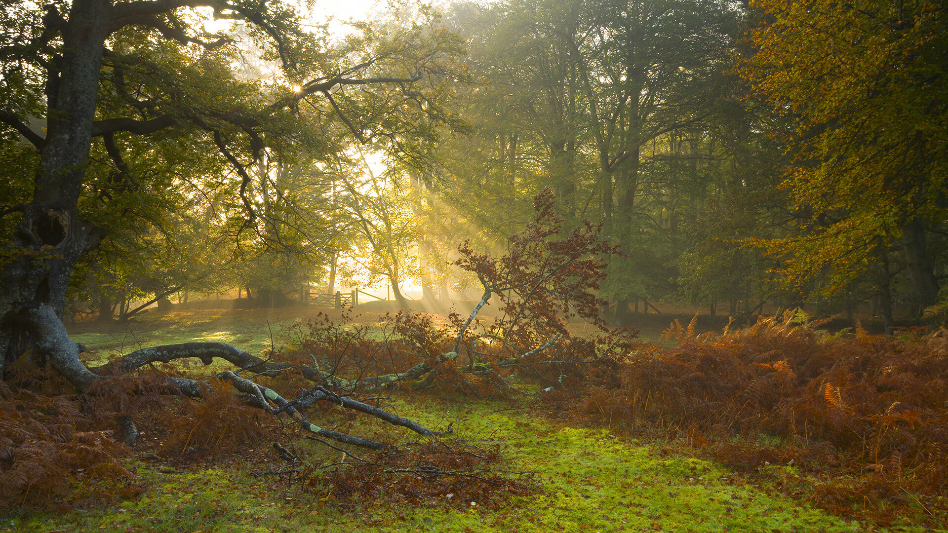 职业联赛缺少长期商业规划支持,中国职业联赛存在的问题及其解决方法