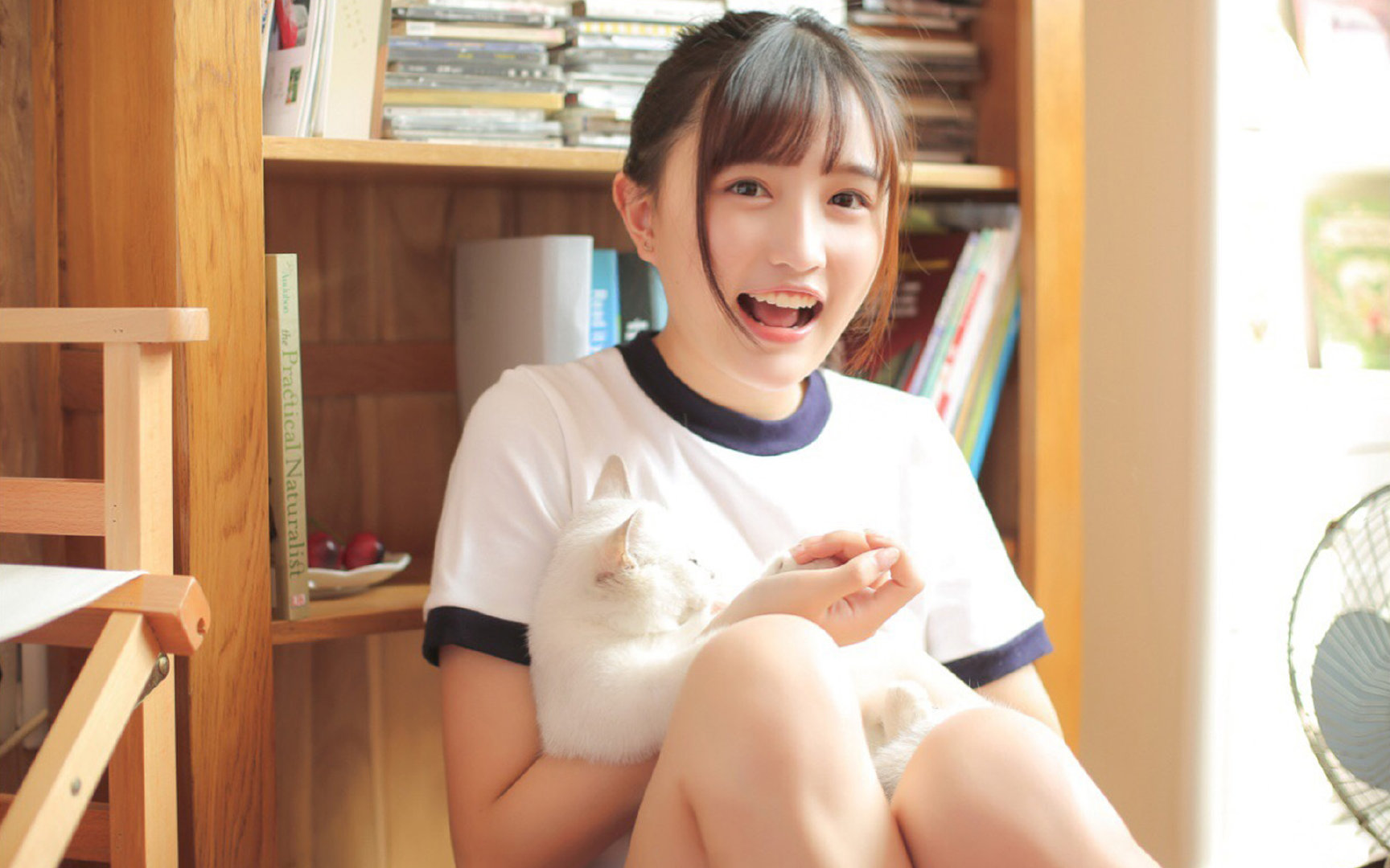 足球文化在青少年教育中缺失明显,青少年足球现状