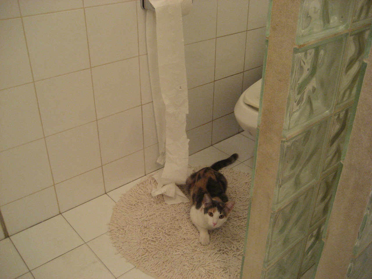 爱游戏登录入口-阿尔及利亚唯一胜利来自战胜黎巴嫩100–70，阿尔及利亚lc