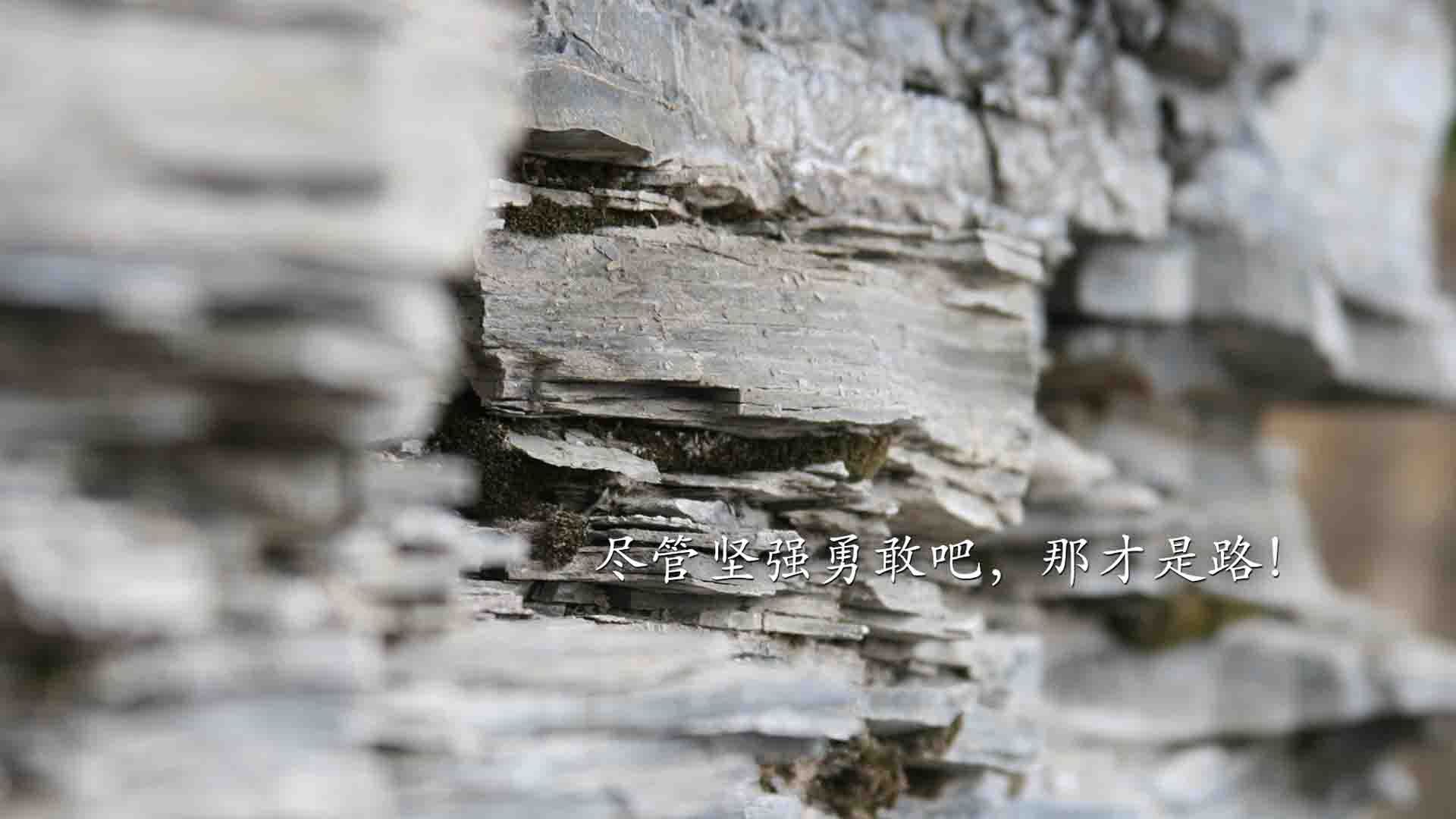 CBA全明星赛入选规则调整鼓励更多年轻球员参赛展示,cba全明星赛制规则