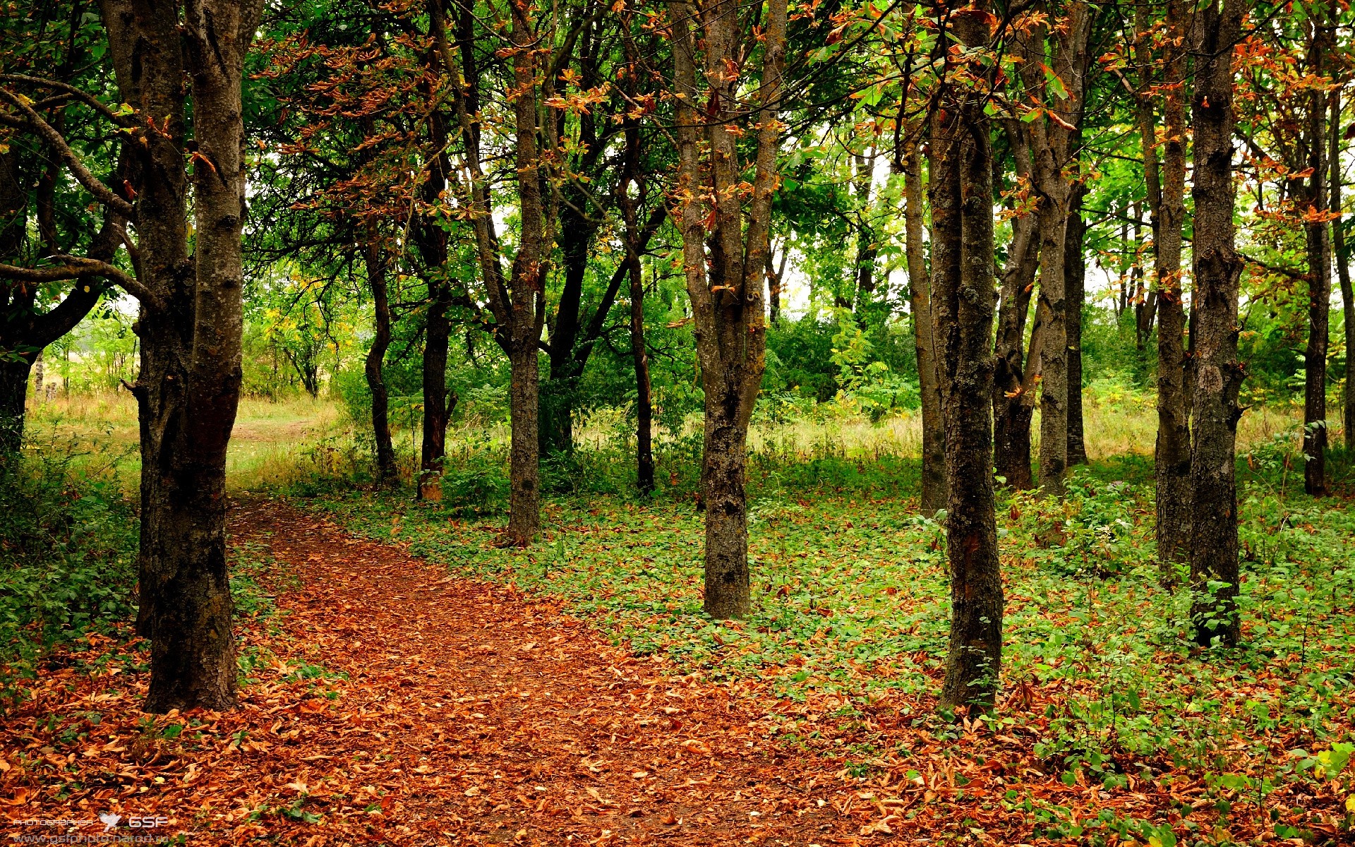 世界杯技术裁判的培训体系,世界杯裁判是怎么安排