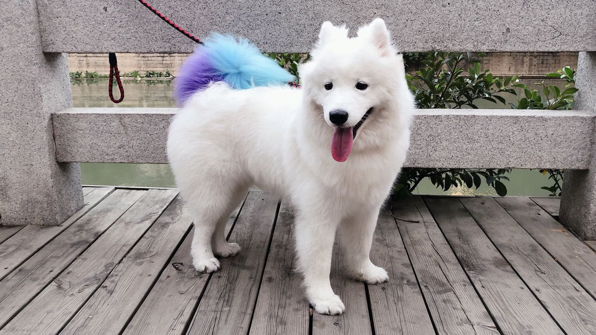 世界杯足球经济拉动旅游业发展,世界杯带动的经济