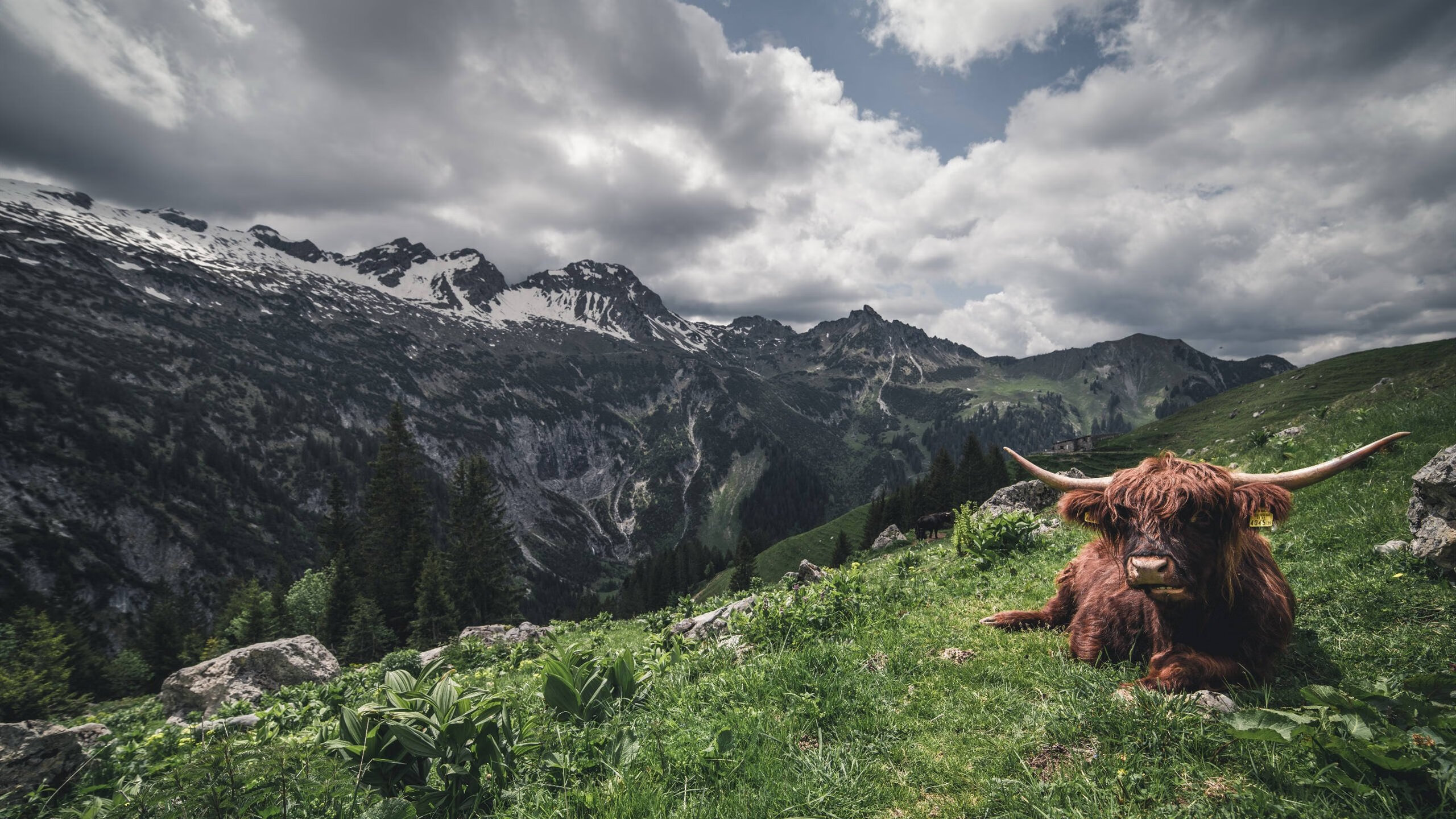 俱乐部公布财年成绩赞助增长显著推动青训与品牌建设同步发展,俱乐部名单