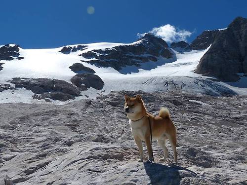 AYX SPORTS-曼联球迷庆祝百年老队成就感人至深，曼联拜年