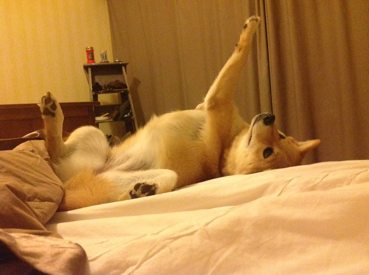 爱游戏体育-李冰洁冲刺阶段表现令人惊艳，李冰洁训练视频