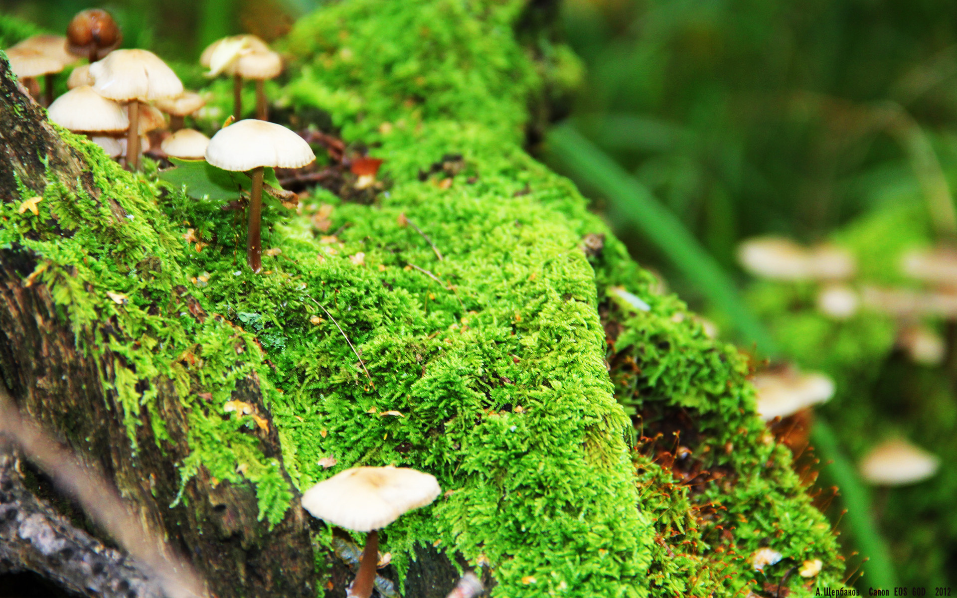 爱游戏app-球队封闭训练阶段重点磨合战术与队员相互协作，球员封闭针的作用及其危害