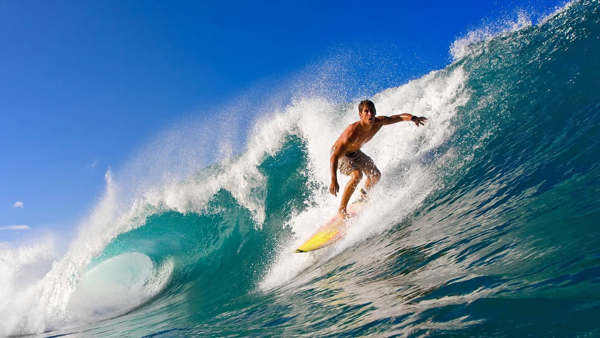 爱游戏电竞同步-“青训市场快速发展，私人青训营如雨后春笋”，青训营多少钱